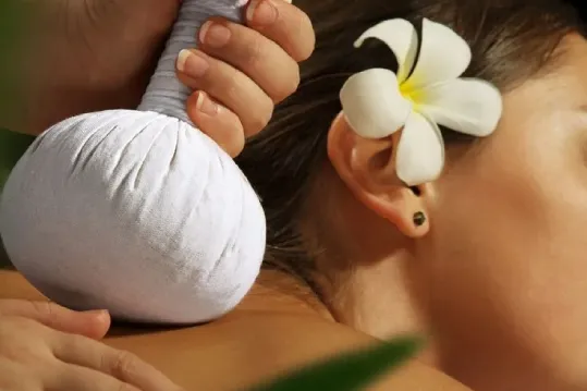 Ayurveda Panchakarma